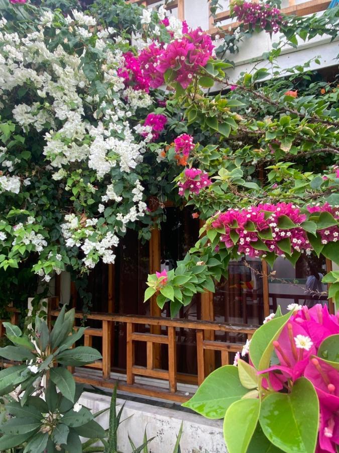 Bougainvillea Inn - Maldives Fulidhoo Bagian luar foto